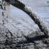 Цена бетона за куб в Люберцах