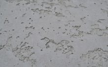 Бетон от производителя в Москве с доставкой